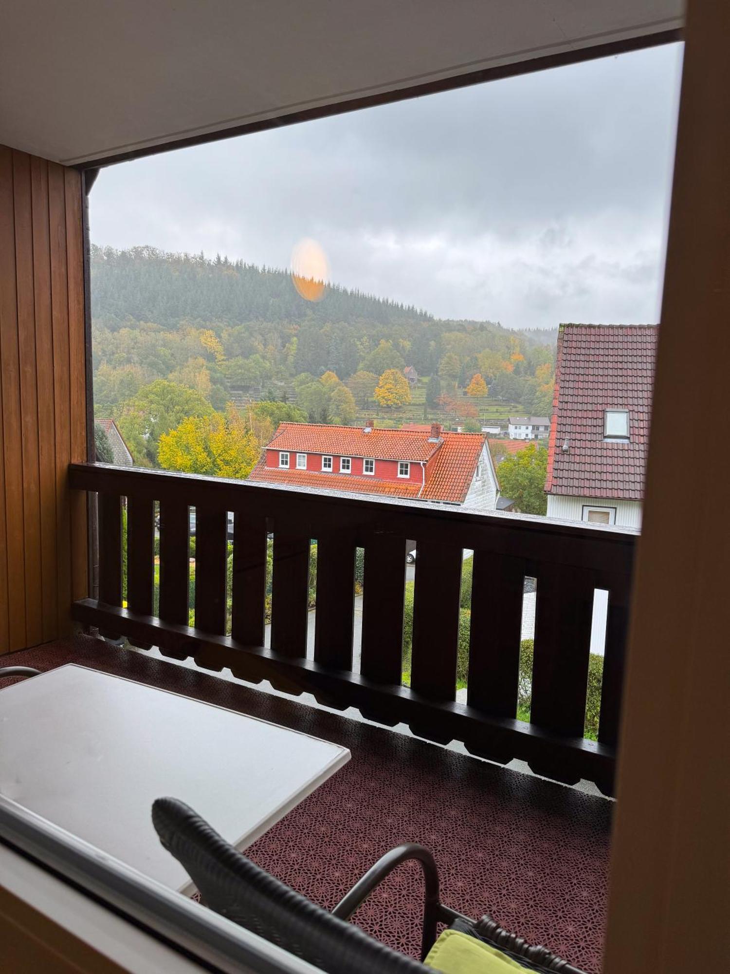 Harzhotel Gruenett Langelsheim Kültér fotó